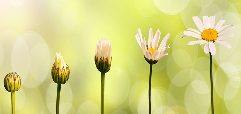 θεραπεία μεταμόρφωση ανακαλύψεις