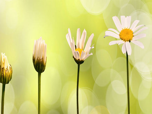 θεραπεία μεταμόρφωση ανακαλύψεις